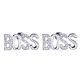 Men's Women's Silver Plated Micro Pave CZ BOSS Sign Push Back Earrings