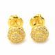 Men's Hip Hop 925 Silver in Gold Plated Micro Pave Round Screw Back Stud Earrings