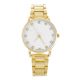 Lady's Women's Luxury CZ Iced Out Metal Watches